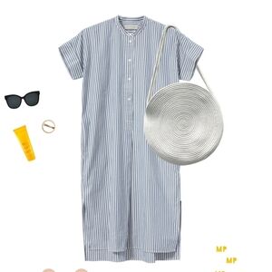 Everlane Blue Striped Button Down Dress